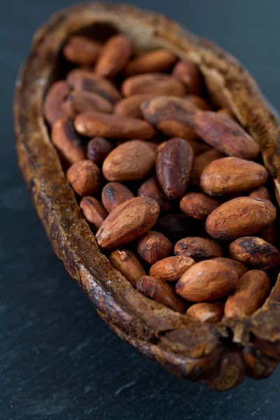 Granos Cacao Marrón Fresco — Foto de Stock