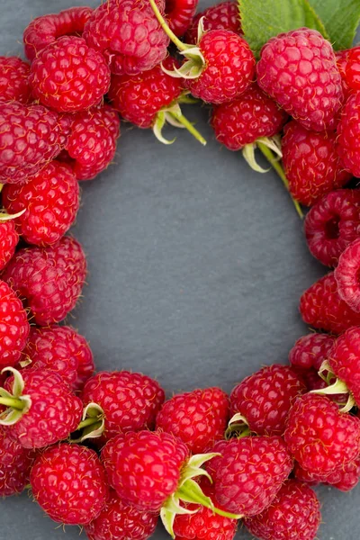 Raspberry Frame Close Weergave — Stockfoto