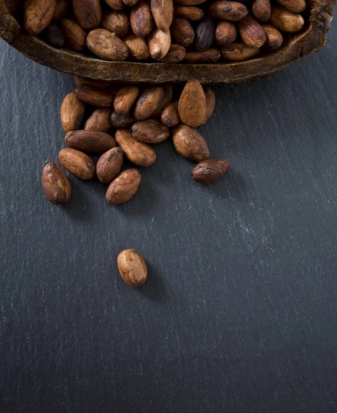 taze kahverengi kakao çekirdekleri