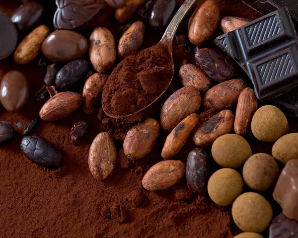 Cocoa Chocolate Candies — Stock Photo, Image