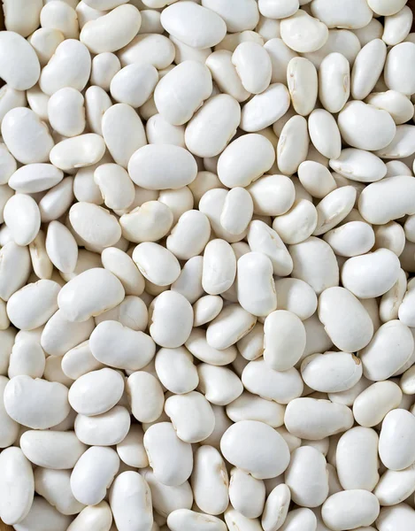 Frijoles Blancos Mantequilla Superficie Madera — Foto de Stock