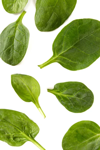 Espinacas Aisladas Sobre Fondo Blanco — Foto de Stock