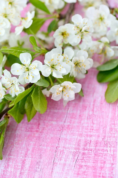 Spring Blossoms Wooden Table — Stock Photo, Image