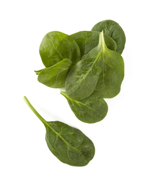 Spinach Isolated White Background — Stock Photo, Image