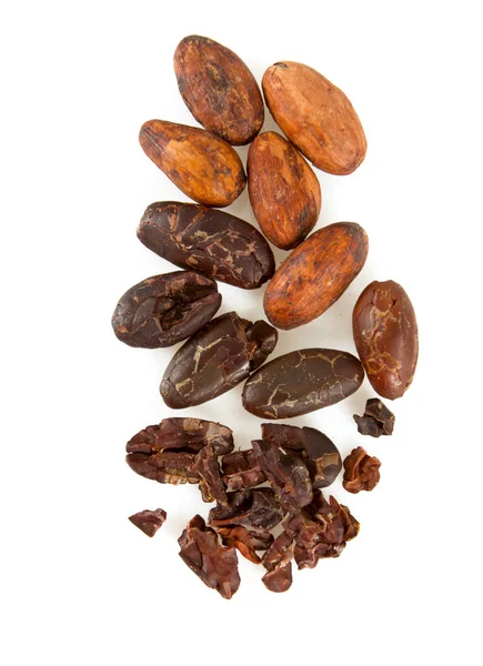 Semi Cacao Pennini Isolati — Foto Stock