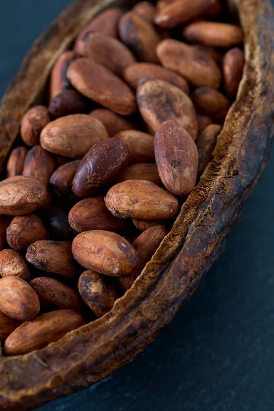 taze kahverengi kakao çekirdekleri