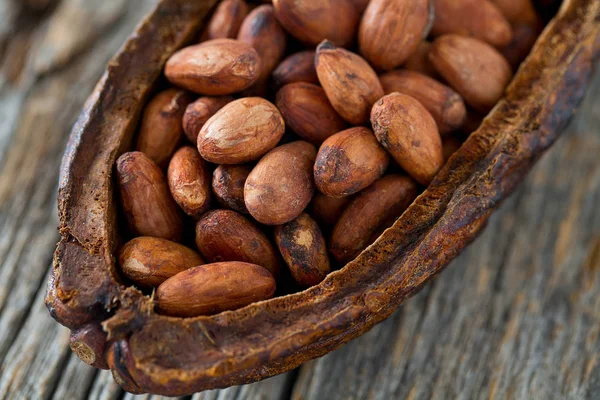 taze kahverengi kakao çekirdekleri