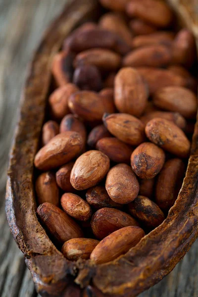 Granos Cacao Marrón Fresco — Foto de Stock
