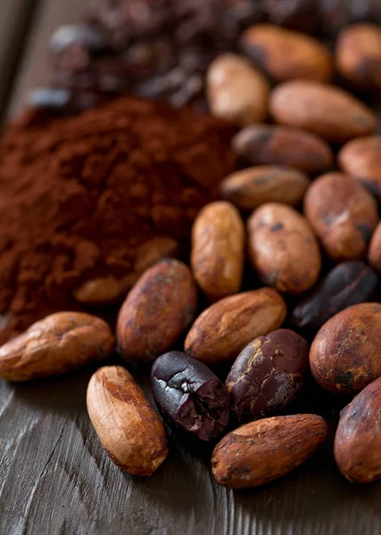 Granos Cacao Polvo — Foto de Stock