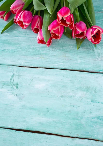 青緑色の木製の表面にピンクのチューリップ — ストック写真