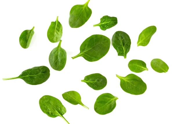 Spinach Isolated White Background — Stock Photo, Image