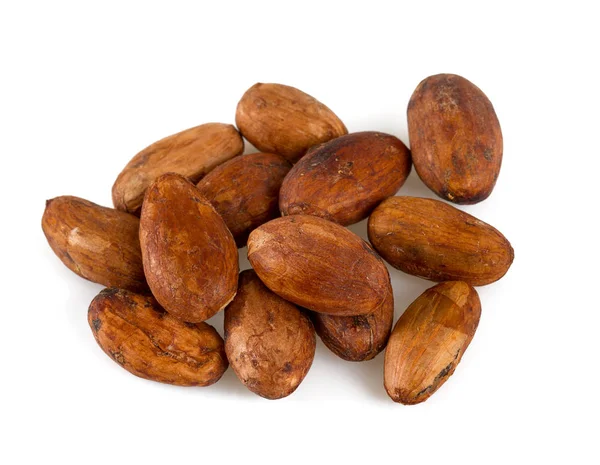 Fagioli Cacao Isolati Bianco — Foto Stock