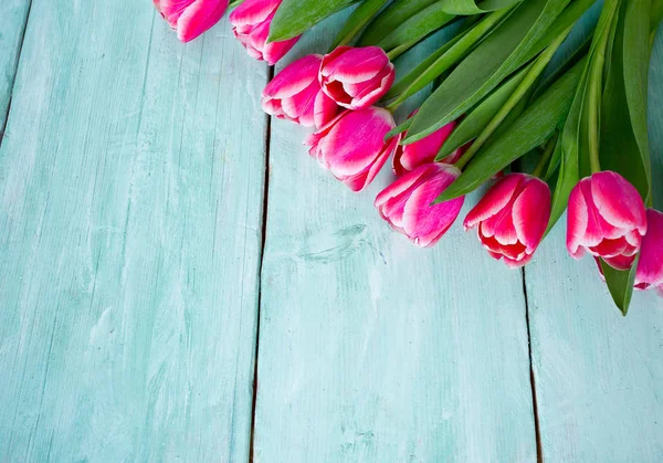 Tulipanes Rosados Sobre Superficie Madera Turquesa — Foto de Stock