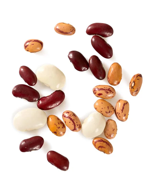 白い背景に分離された各種の豆 — ストック写真