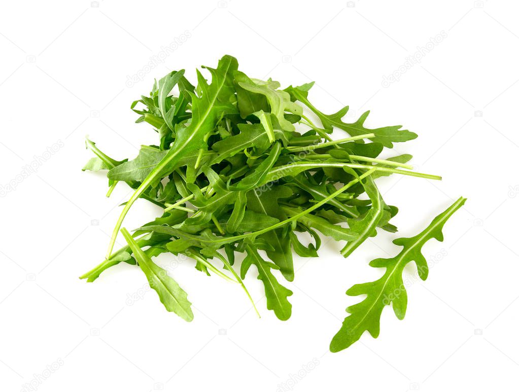 Arugula isolated on white background