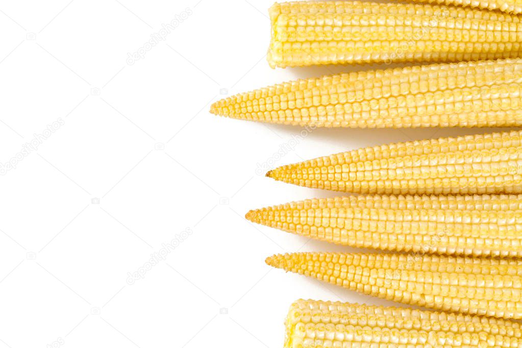 baby corn isolated on white
