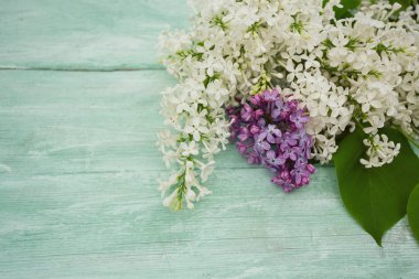 Liac turkuaz ahşap yüzey üzerinde