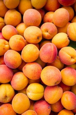 Taze iştah açıcı olgun kayısı