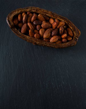 Koyu arkaplanda kakao çekirdekleri