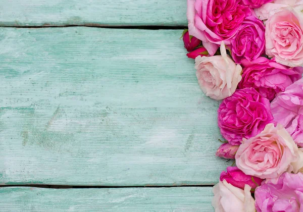 Красивые Розы Сада Бирюзовой Деревянной Поверхности — стоковое фото
