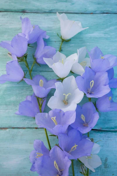 Μπλε Λουλούδια Κουδούνι Τυρκουάζ Ξύλινη Επιφάνεια — Φωτογραφία Αρχείου