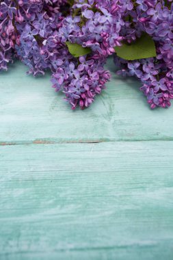 Liac turkuaz ahşap yüzey üzerinde