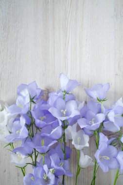 Ahşap yüzeyde mavi çan çiçekleri