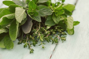 Tahta yüzeyde taze bitkiler