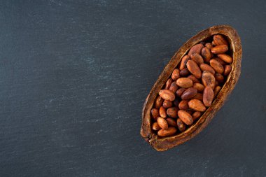 Koyu arkaplanda kakao çekirdekleri