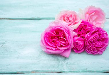 Turkuaz ahşap yüzeyde güzel bahçe gülleri