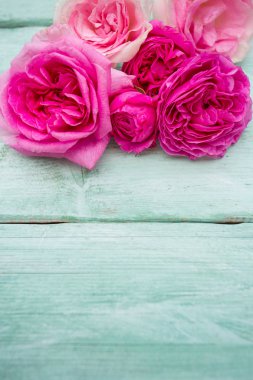 Turkuaz ahşap yüzeyde güzel bahçe gülleri