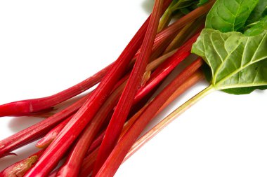 taze ravent üzerinde beyaz izole