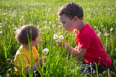 İki kardeş Dandelions üfleme