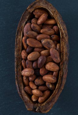 Koyu arkaplanda kakao çekirdekleri