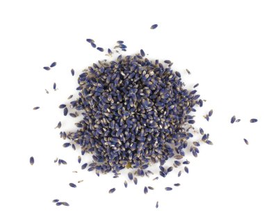 Beyaz arka plan üzerinde Lavanta çiçek yaprakları