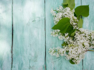 Liac turkuaz ahşap yüzey üzerinde