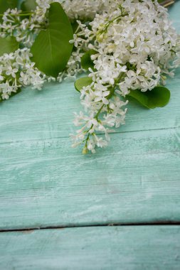 Liac turkuaz ahşap yüzey üzerinde