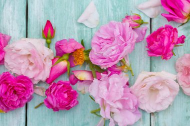 Turkuaz ahşap yüzeyde güzel bahçe gülleri