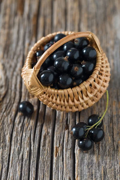 Ribes Nero Superficie Legno — Foto Stock