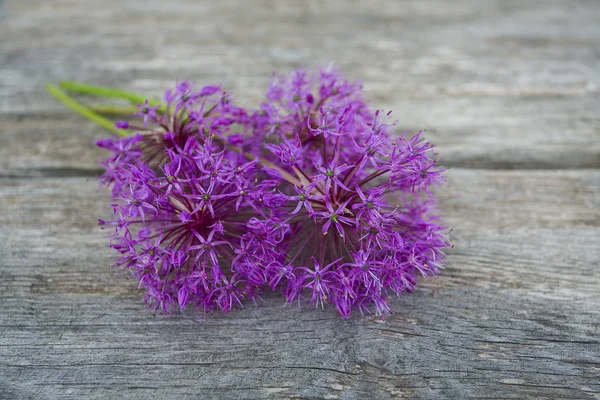Alium Kwiat Powierzchni Drewnianych — Zdjęcie stockowe