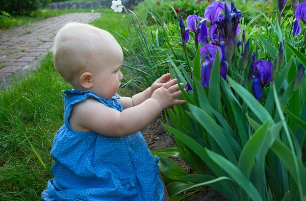 Bonito Bebê Menina Íris Flores Crescente — Fotografia de Stock