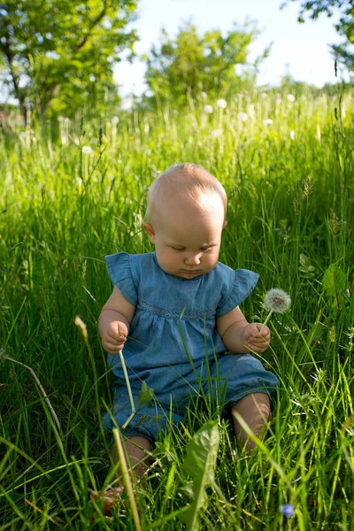 Cute Baby Girl Summer Field — Stock Photo, Image