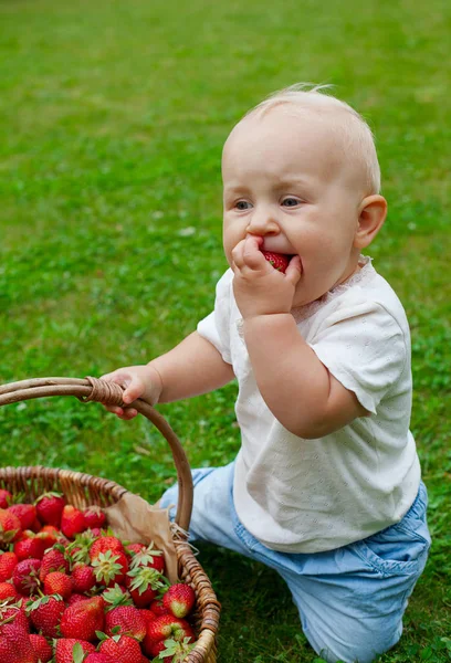 Menina Bonito Com Uma Cesta Morangos — Fotografia de Stock