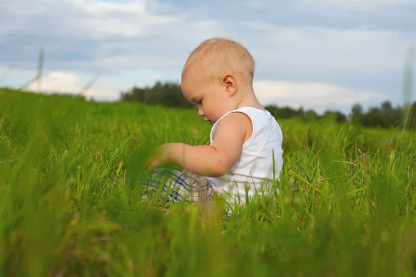 Schöner Glücklicher Junge Der Gras Spielt — Stockfoto