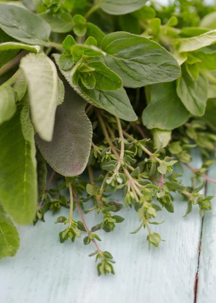 Fresh Herbs Wooden Surface — Stock Photo, Image