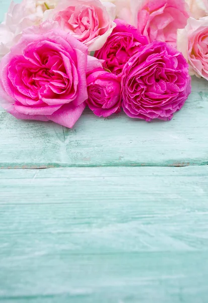 ターコイズブルーの木製の表面に美しい庭のバラ — ストック写真