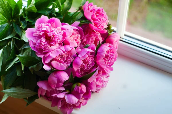 Peonías Rosadas Ventana Alféizar —  Fotos de Stock