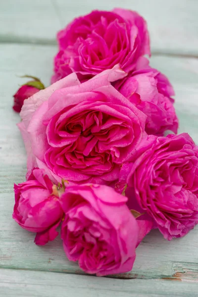 Belas Rosas Jardim Superfície Madeira Turquesa — Fotografia de Stock