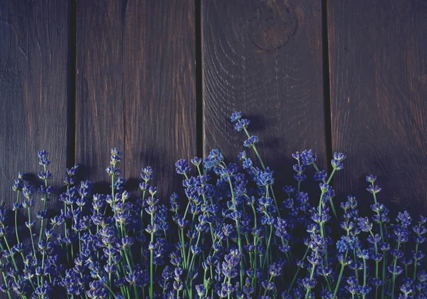 Άνθη Λεβάντας Ξύλινο Φόντο — Φωτογραφία Αρχείου