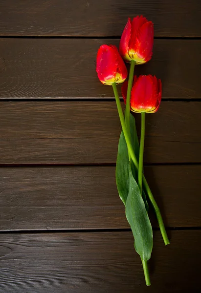 Red Tulips Dark Wooden Surface — Stock Photo, Image